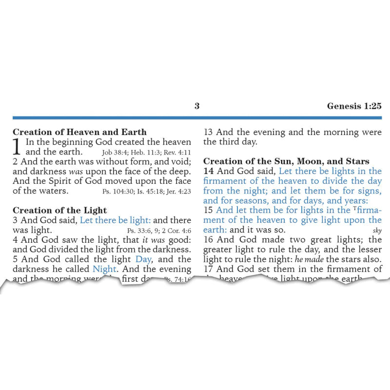 KJV Platinum Remnant Study Bible