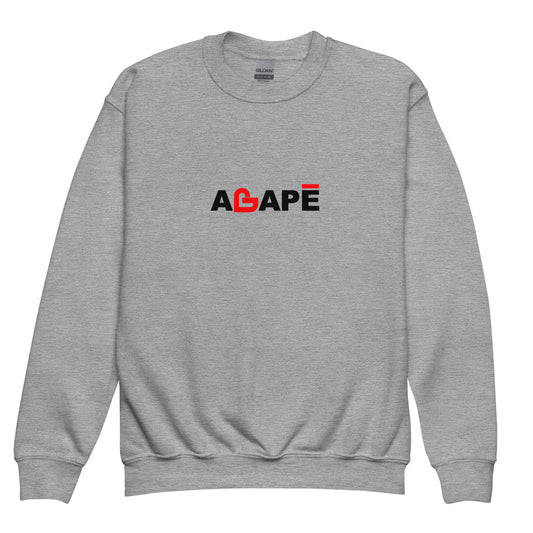 Agape Youth crewneck sweatshirt